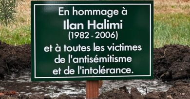 Cette ville replante un arbre en hommage à Ilan Halimi, "la mémoire et la compassion ne se laisseront pas abattre"