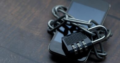 Cette ville veut limiter à deux heures quotidiennes l’utilisation des téléphones