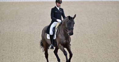 Championnat d’Europe de dressage : la Belgique occupe la 8e place après la première journée du Grand Prix - RTBF Actus