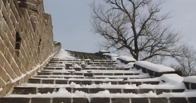 China,Beijing,Great Wall,Shanghai,Panda,Architecture,Asian culture,Landscape