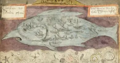  « Chasser la baleine a été considéré comme une victoire de la civilisation sur le sauvage » : l’analyse de Yolanda Gonzalez