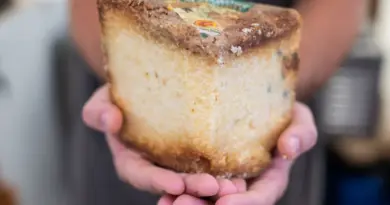 Cheese revient à Bra du 19 au 22 septembre 2025