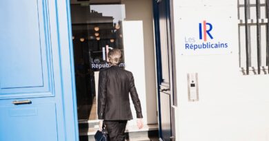 Chez LR, le vote de confiance à François Bayrou ravive les tiraillements