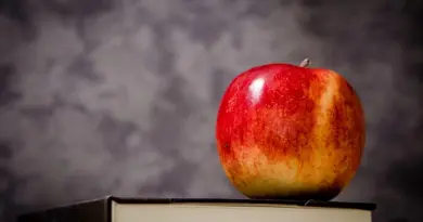 education,school,learning,student,teacher,classroom,university,books,knowledge,study