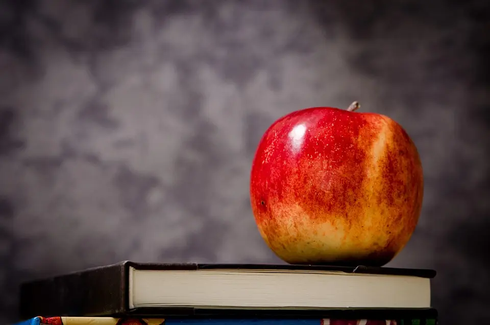 education,school,learning,student,teacher,classroom,university,books,knowledge,study