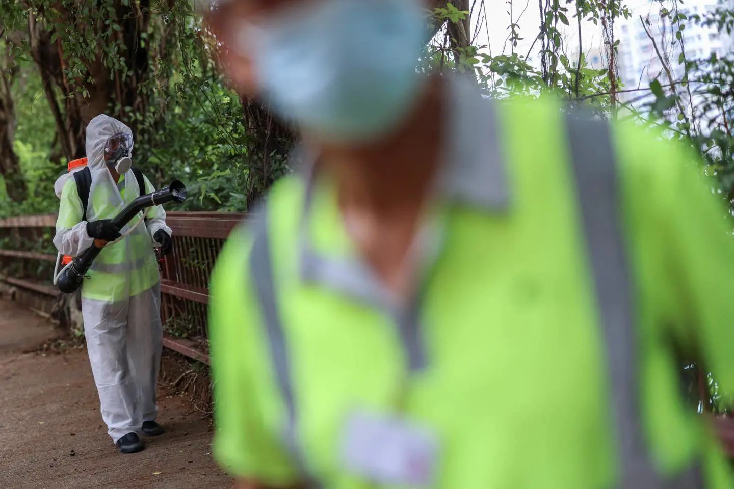 Chikungunya : en proie à une importante épidémie, la Chine sort les grands moyens