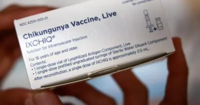 Chikungunya : le vaccin Ixchiq suspendu aux Etats-Unis après de nouveaux effets indésirables