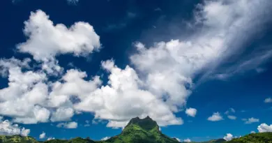 Polynésie française, Tahiti, Bora Bora, lagoon, beach, palm, coral, overwater, island