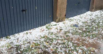 Chutes d’arbres, des milliers d’éclairs... En Saône-et-Loire, les images des dégâts causés par les orages