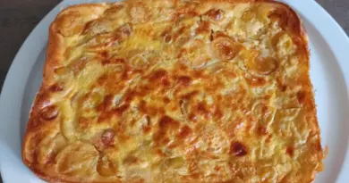 Clafoutis aux mirabelles au combi ninja