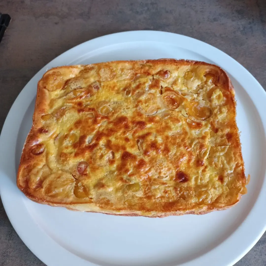 Clafoutis aux mirabelles au combi ninja