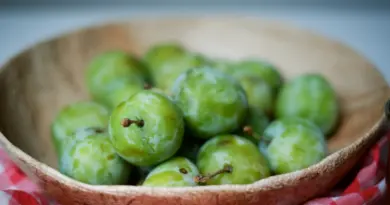 Comment faire de la confiture de prunes : recette facile