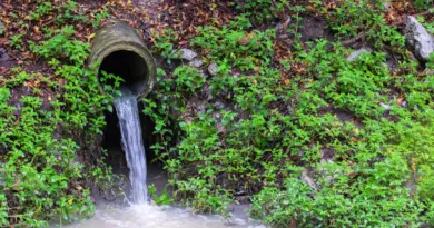 Comment favoriser la réutilisation des eaux usées traitées en France ?