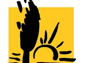 Communiqué de presse : Réponse du conseil constitutionnel sur la loi Duplomb : une sombre victoire pour l’agro-industrie