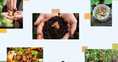 Compostage : de l’assiette au jardin… et vice et versa !