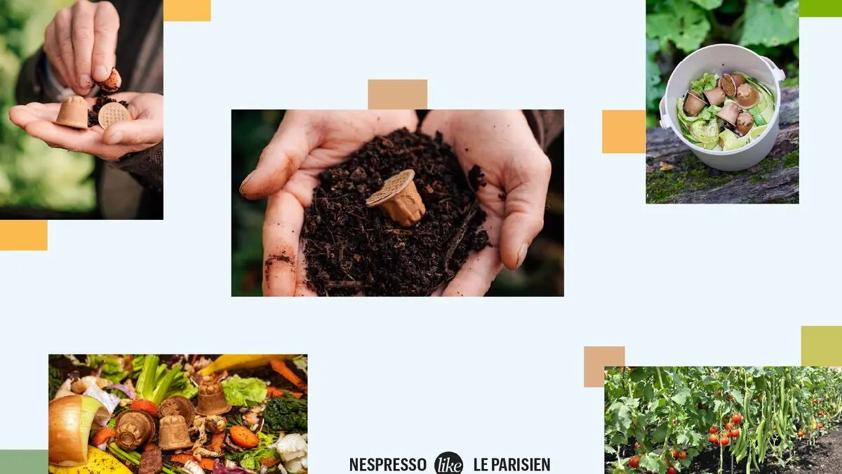 Compostage : de l’assiette au jardin… et vice et versa !