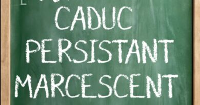 Comprendre le vocabulaire du jardin : feuillage persistant, caduc et marcescent - RTBF Actus