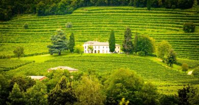 Occitanie, Toulouse, Montpellier, landscape, sea, mountain, vineyard, canal
