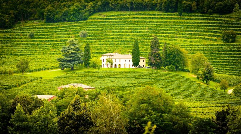 Occitanie, Toulouse, Montpellier, landscape, sea, mountain, vineyard, canal