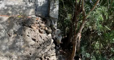 Conflit de voisinage autour d’un mur : un fils et sa mère désespèrent