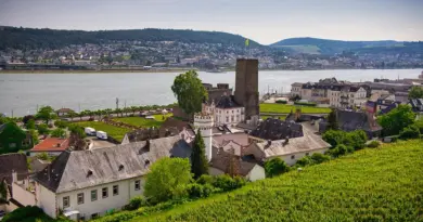 Pays de la Loire, Nantes, Angers, Loire river, castle, vineyard, coast, landscape