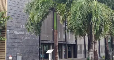 Correctionnelle : deux récidivistes écopent de lourdes peines pour vols avec violence
