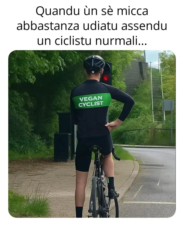 Cosa li mancaria par essa udiatu torna di più ?