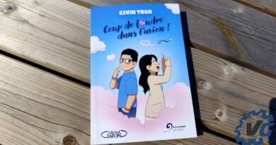 Coup de foudre dans l'avion - Kévin Tran