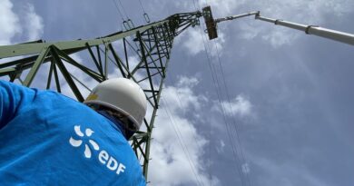 Coupure d’électricité : 2 500 foyers privés de courant au sud-est de la Martinique