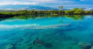 Mayotte, Mamoudzou, lagoon, beach, coral, mangrove, ylang-ylang, island, Creole, nature
