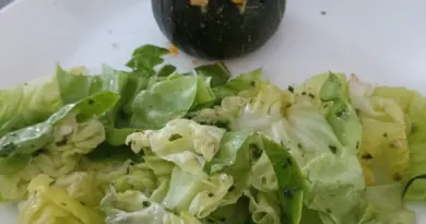 Courgettes farcies béchamel au combi ninja