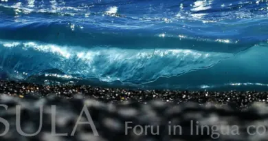 ISULA