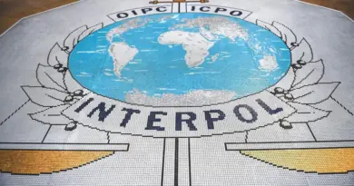 Cybercriminalité en Afrique : coup de filet d'Interpol, plus de 1 200 arrestations