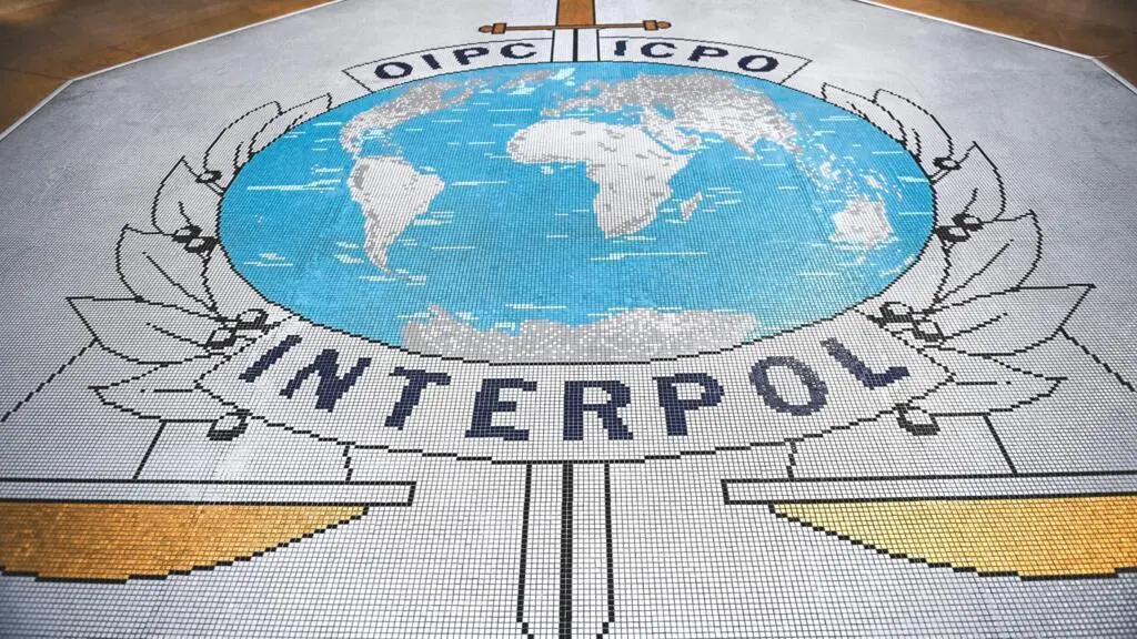 Cybercriminalité en Afrique : coup de filet d'Interpol, plus de 1 200 arrestations