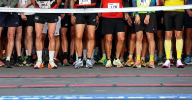 Dans le Gâtinais, plus de 200 coureurs s'élancent ce dimanche sur le marathon "Marron Vert" - ici