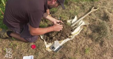 Dans le Jura, "Terres vivantes" a uni scientifiques et agriculteurs pour mieux protéger leurs sols