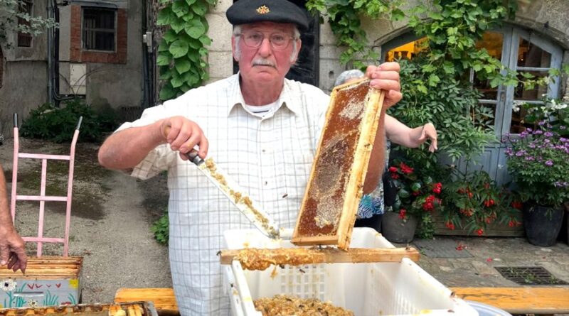 Dans le Sud Aveyron, une récolte de miel catastrophique pour l’été