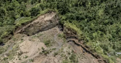 Dans les Comores, des ONG tentent de réparer les dégâts de plusieurs décennies de déforestation - RTBF Actus
