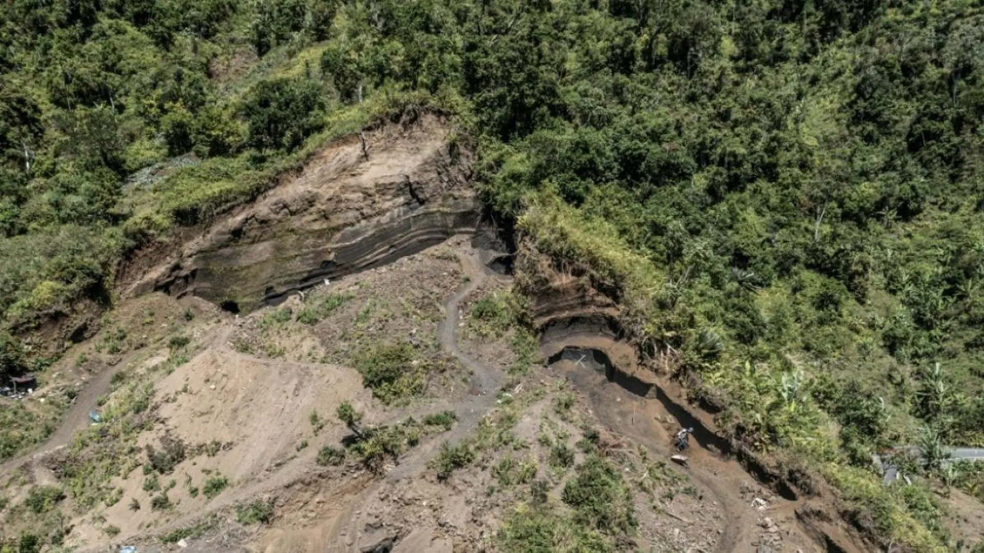 Dans les Comores, des ONG tentent de réparer les dégâts de plusieurs décennies de déforestation - RTBF Actus