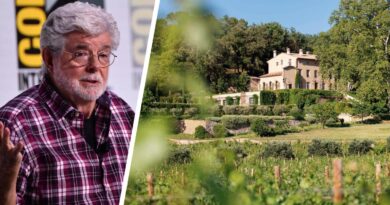 De Star Wars au vin : comment George Lucas a bâti un empire en Provence