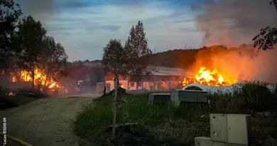 Plus de 50 soldats du feu sont intervenus sur cet incendie