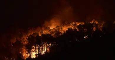 « Déclencher un incendie donne au pyromane un sentiment de toute-puissance »