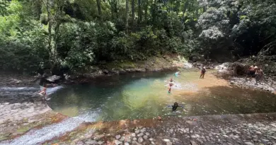 Découverte au cœur de la nature à Fonds-Saint-Denis à La Roche Perma