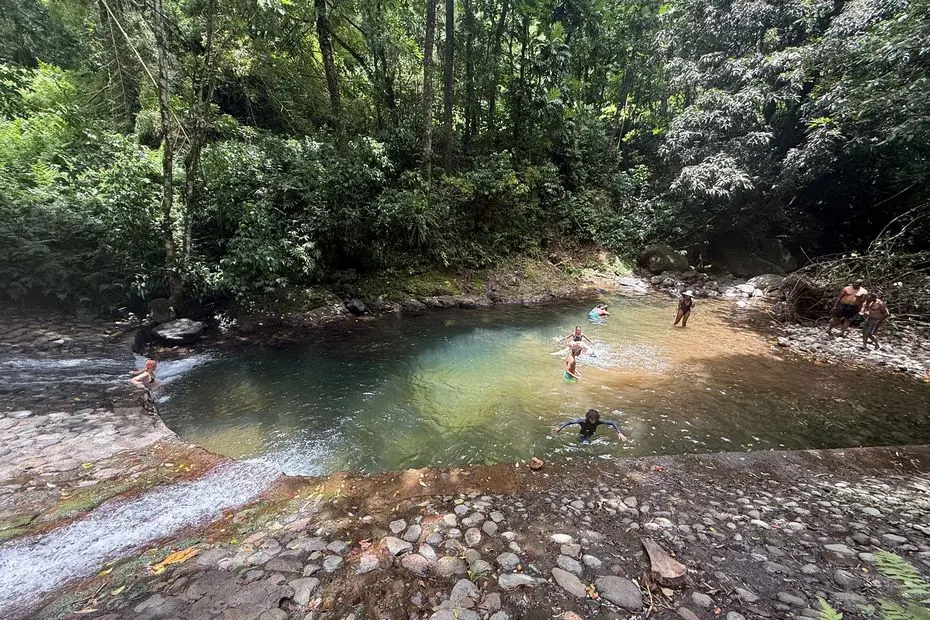 Découverte au cœur de la nature à Fonds-Saint-Denis à La Roche Perma