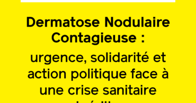 Dermatose Nodulaire Contagieuse : urgence, solidarité et action politique face à une crise sanitaire inédite - Place publique