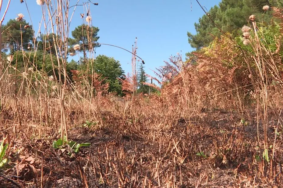 Des départs de feux simultanés qui semblent volontaires inquiétent des communes du Saumurois
