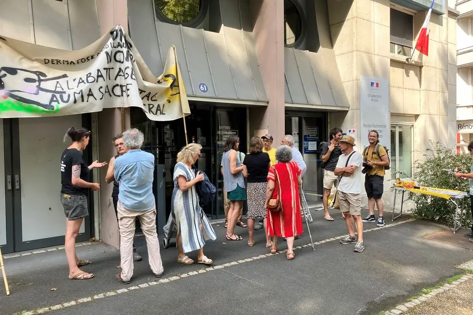 "Dès qu'il y a maladie, on tire sur tout ce qui bouge" : la Confédération paysanne lutte contre l'abattage systématique des troupeaux