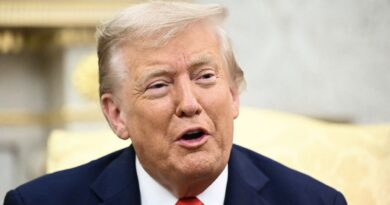 Devant des journalistes, Donald Trump se targue de se faire appeler le "président de l'Europe"