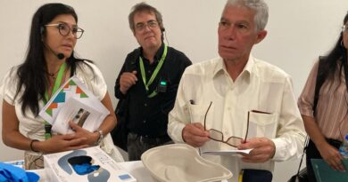 Diabète en Martinique : vers l'usage d'un médicament qui écarterait le risque d'amputation ?