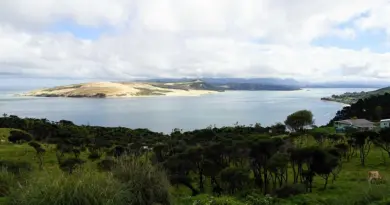Nouvelle-Aquitaine, Bordeaux, Biarritz, dune, ocean, vineyard, forest, landscape